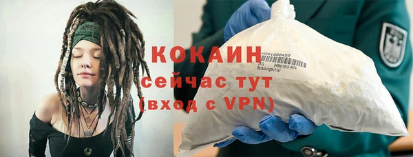 хмурый Абаза