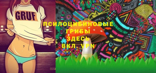 хмурый Абаза