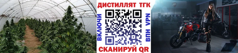 ТГК Wax  omg ссылки  Уржум 