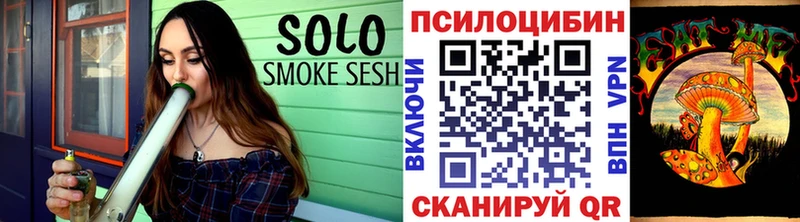 Галлюциногенные грибы Psilocybe Уржум